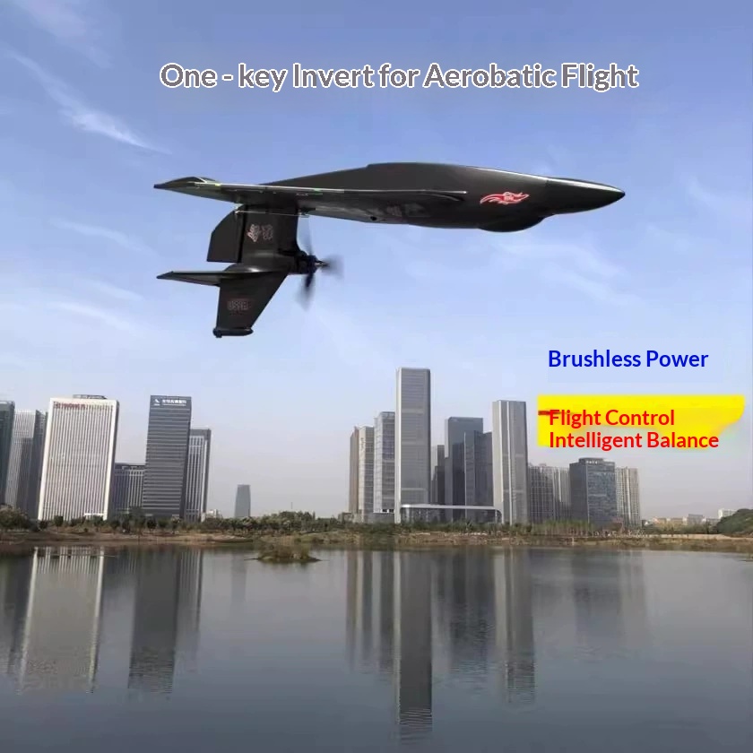 Rc Glider Foam Wing - 6CH RC Vliegtuig H650 Raptor Borstelloze