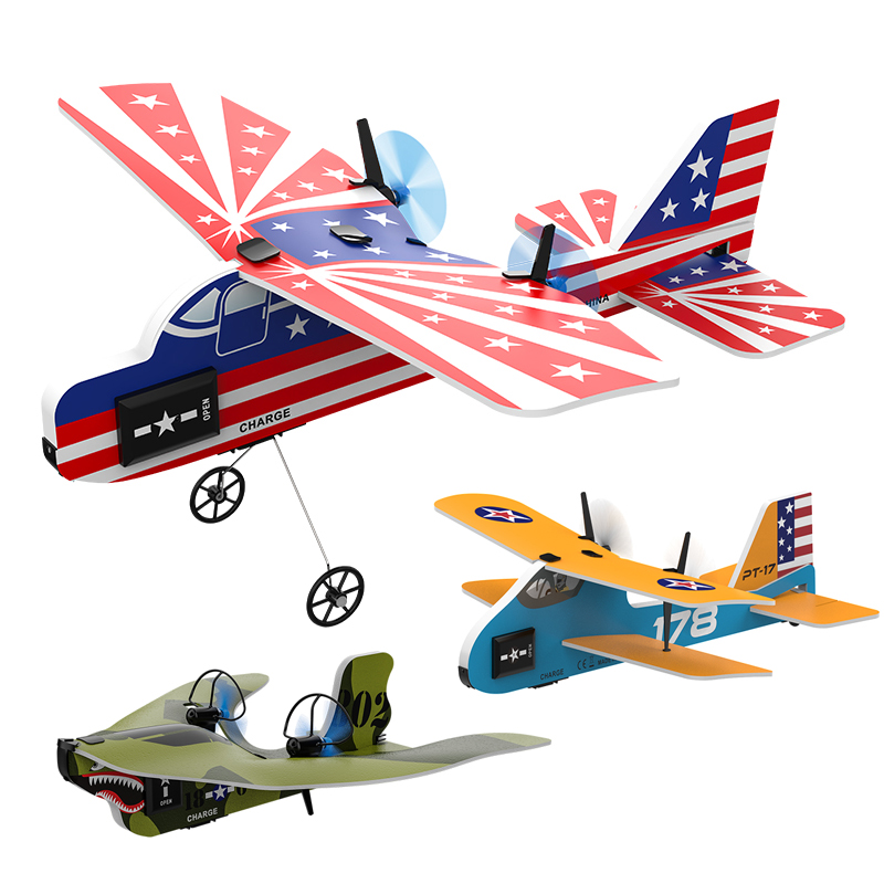 Rc Glider Foam Wing - Mini RC Vliegtuig 2.4G 2CH Vaste