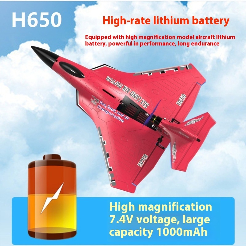 H650 Grote RC Vliegtuig Waterd - Rc Glider Foam Wing recensie en prijs
