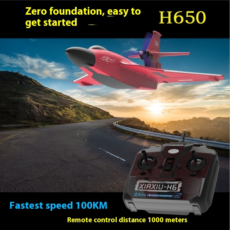 H650 Grote RC Vliegtuig Waterd - Rc Glider Foam Wing recensie en prijs