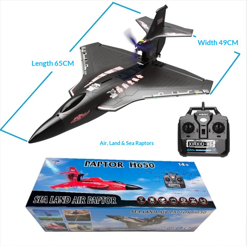 6CH RC Vliegtuig H650 Raptor B - Rc Glider Foam Wing recensie en prijs