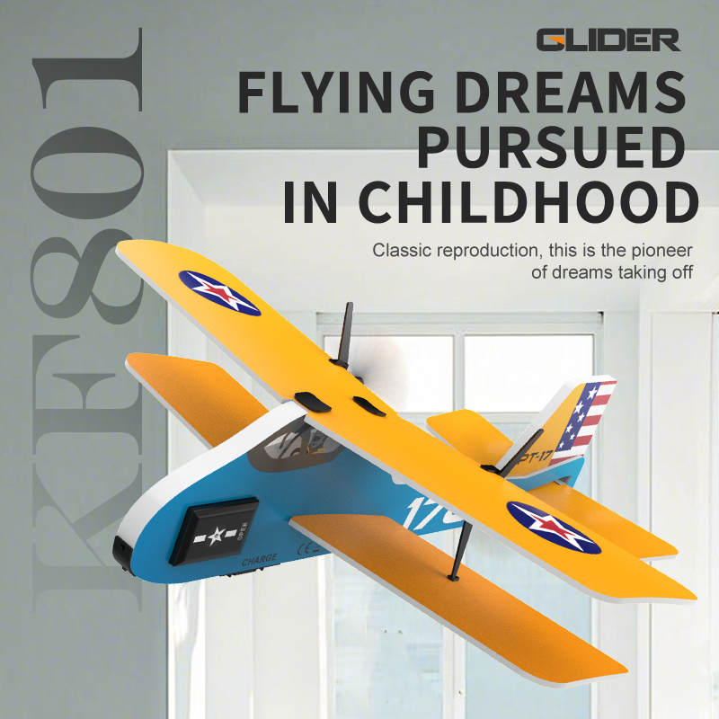 Mini RC Vliegtuig 2.4G 2CH Vas - Rc Glider Foam Wing recensie en prijs